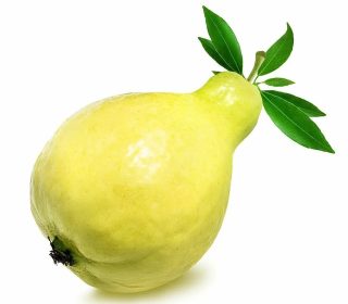 Guava